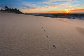 Footsteps on sand dune during sunset. Oregon, USA.
Photo : Gary Weathers