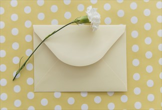 Studio Shot of flower and envelope on yellow background.
Photo : Jamie Grill
