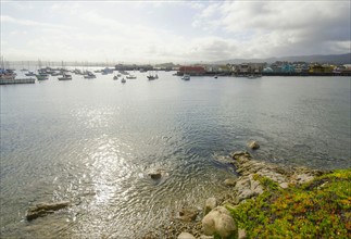 View of tranquil bay on sunny day.
Photo : Tetra Images