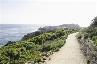 Empty path along coast.
Photo : Tetra Images