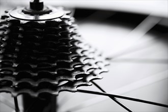 Close-up of bicycle gears.
Photo : Maisie Paterson
