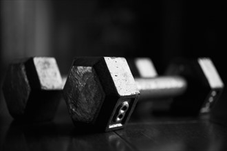 Close-up of dumbbells.
Photo : Maisie Paterson