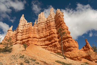 Rock formations in Bryce Canyon.
Photo : Gary Weathers