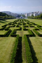 Ornamental hedge in Park of Edward VII. Lisbon, Portugal.