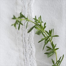 Winter savory on table.