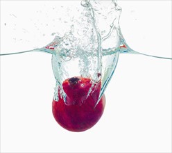 Studio shot of pomegranate falling into water
