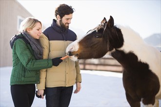 Young couple feeding horse with carrot