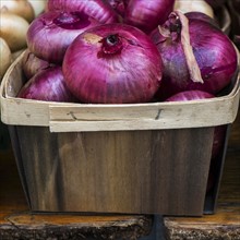 Red onions in carton.