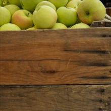 Green apples in crate.