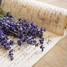 Studio shot of lavender on antique handwriting.