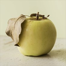 Studio shot of green apple.