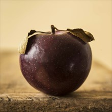 Studio shot of purple apple.