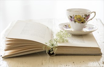 Studio shot of teacup and book with flower.