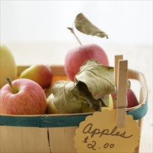 Studio shot of basket of apples.