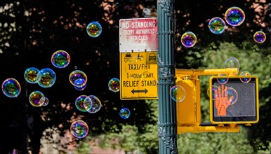Road sign with soap bubbles. New York City, New York.