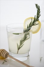 Cocktail with lemon slice