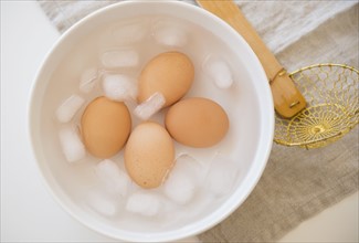 Studio shot of eggs in water with ice