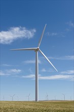 Wind turbines at green field