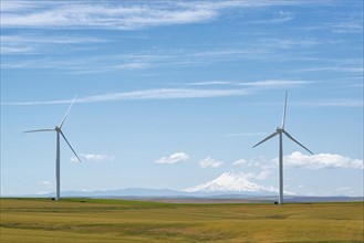 Wind turbines at green field with mountain on background