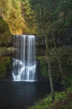 Silver Falls State Park, View of waterfall in forest