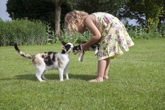 Little girl (2-3) playing with cats in garden