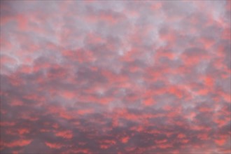 Pink clouds on sky at sunrise.