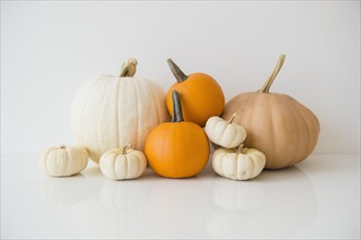 Studio Shot of pumpkins