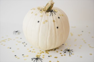 Studio Shot of pumpkin with halloween decoration