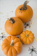 Studio Shot of pumpkins with halloween decoration