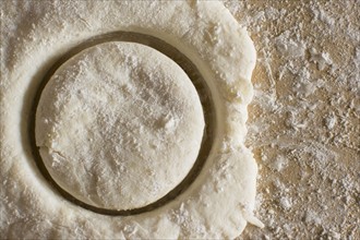 Circle cut out from fresh dough