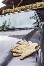 Protective gloves laying on car