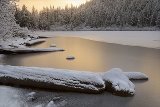 Scenic view of lake and forest in winter