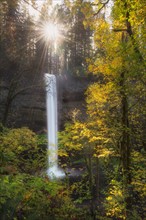 Scenic view of waterfall in autumn forest