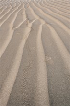 Close-up view of rippled sand