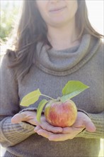 Female hand holding freshly picked apple