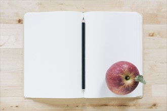 Overhead view of pencil and apple in notebook