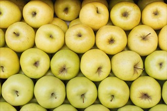 Close up of yellow apples