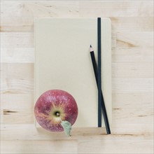 Apple on notebook