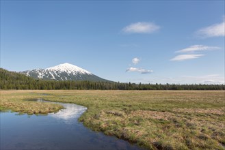 View of snowcapped Mount Bachelor