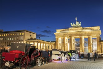 Horse carts in front of illuminated Brandenburg Gate