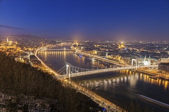 Waterfront cityscape with illuminated Elisabeth Bridge