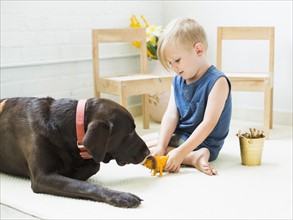 Little boy (2-3) playing with dog