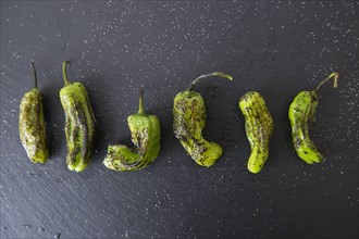 Studio shot of grilled shishito peppers