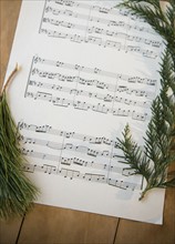 Note sheet and coniferous twigs on wood