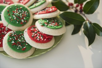 Studio shot of Christmas cookies
