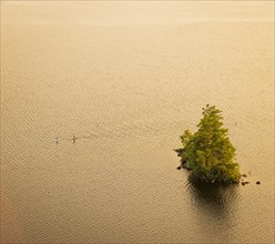 Elevated view of islet with tree and people paddle boarding