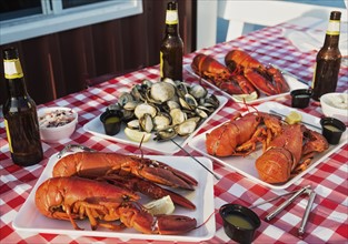 View of table with lobster meal