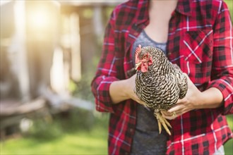 Female farmer holding hen