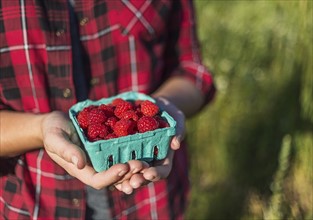 Mid section of woman holding punnet of raspberries