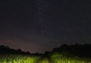 View of starry sky from dirt road at night
